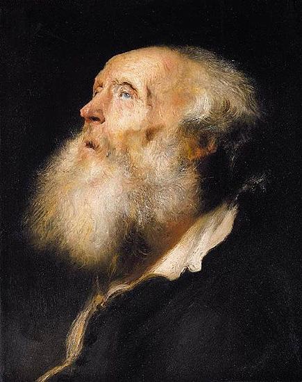 Jan lievens Study of an Old Man oil painting image